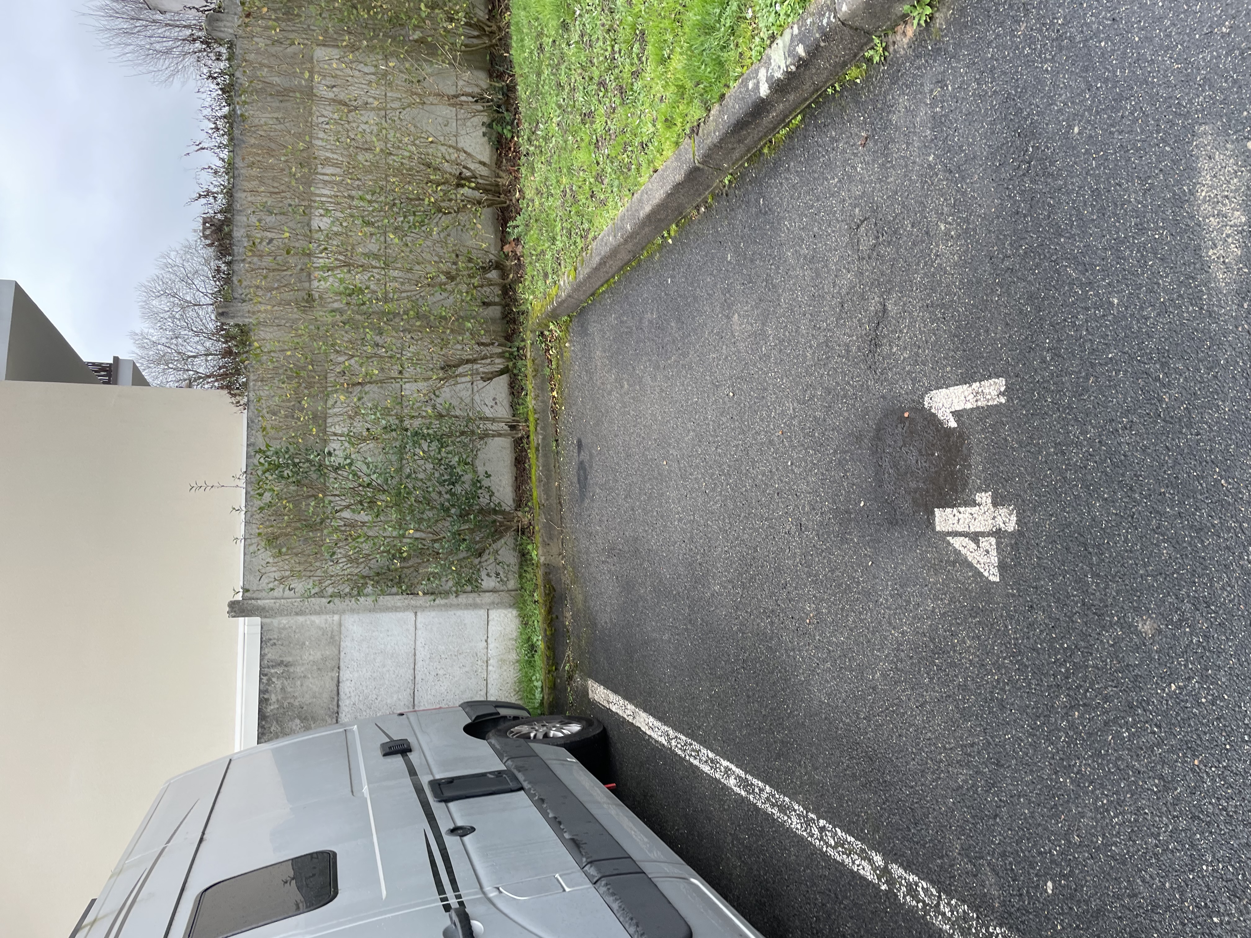 Service voiturier exterieur